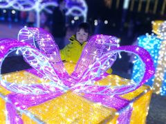 -国家动漫园