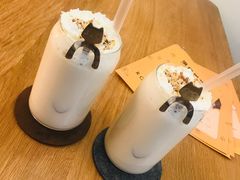 冻顶乌龙牛乳茶-滚猫咖啡·猫咖·猫友好撸猫(未来城店)