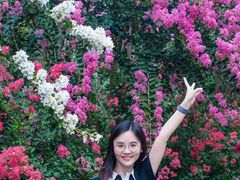 -杭州城北体育公园