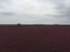-红海滩国家风景廊道