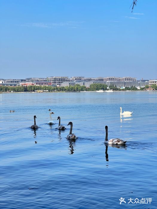 北龙湖湿地公园图片