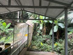 -七仙岭温泉国家森林公园