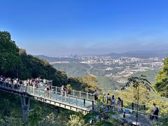 -黄埔油麻山森林公园