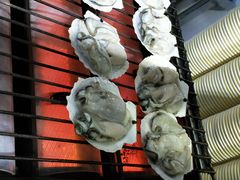 -冯姐生蚝(迎宾广场店)