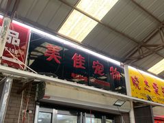 -中环花鸟鱼虫市场