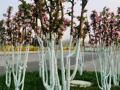 -天津东丽湖风景区