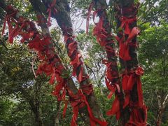 -七仙岭温泉国家森林公园