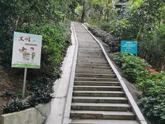 -板樟山森林公园