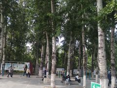 -山东大学(洪家楼校区)