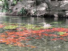 -水磨沟公园