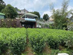 -自在弥林花园餐厅(云栖店)