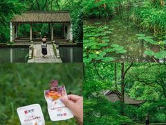 -杭州植物园