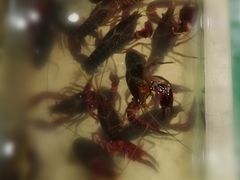 -虾弄弄海派小龙虾·牛羊蝎子火锅