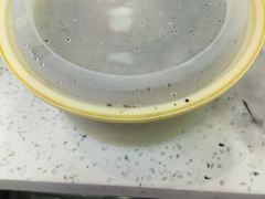 -星粉面大王城(德馨园店)