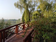-古塔公园
