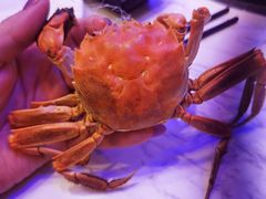 -半岛听涛蒸汽海鲜自助(K11店)