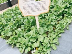 -盒马鲜生(金桥国际广场店)