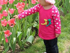 -长春公园(普阳街道)