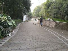 -苏州河梦清园环保主题公园