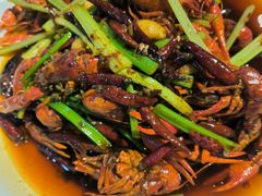 -阳光院坝小龙虾(红牌楼店)