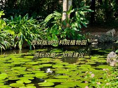 -中国科学院西双版纳热带植物园