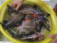 -板桥海鲜广场(文明东店)