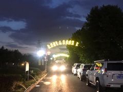-普兰达德国餐厅·德式脆皮烤猪肘·自酿啤酒(观唐店)