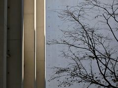 -中国宣纸文化园