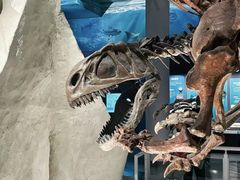 -国家自然博物馆