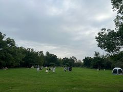 -东湖落雁景区