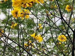 -南国桃园旅游度假区