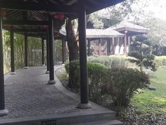 -崇阳三特浪口温泉