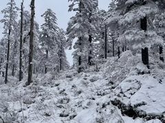 -瓦屋山景区