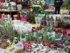 -双季花艺园艺市场(浦东店)