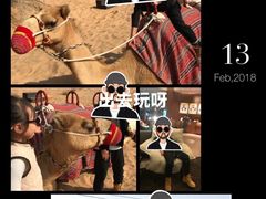 -迪拜沙漠冲沙