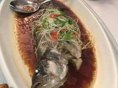 -和平官邸·花园餐厅(武定西路店)