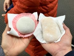 -澳门长洲糯米糍(柯打苏沙街店)