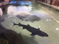 -野山舂·贵州现舂酸汤火锅(鸿通城店)