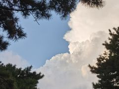 -长春市南湖公园