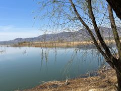 -野鸭湖国家湿地公园