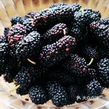 🌹️玫瑰香😄️