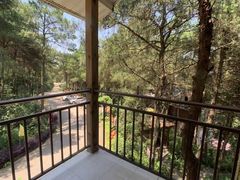 -铁山坪森林公园