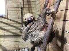 -洛阳龙门海洋馆