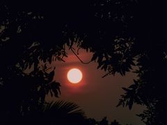 -时光花园(白鹭洲店)