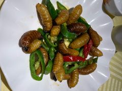椒盐竹虫-石岐佬中山菜馆(张溪店)