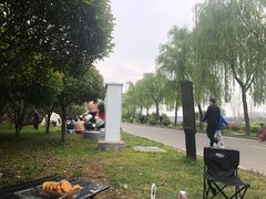 -洨河生态公园