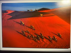 -罗红摄影艺术馆