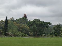 -深圳仙湖植物园