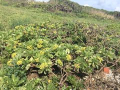 -龙坑生态保护区