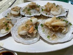 扇贝-老字号蛇口德记烧腊饭店·海鲜加工